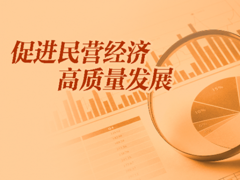 專(zhuān)題丨促進(jìn)民營(yíng)經(jīng)濟(jì)高質(zhì)量發(fā)展